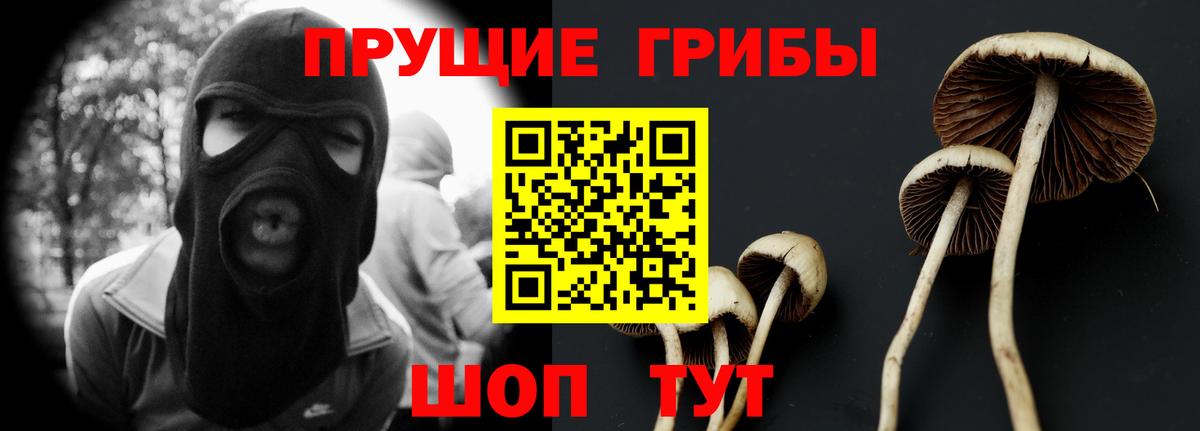 Корсаков  Псилоцибиновые грибы ЛСД  Вход с VPN  Псилоцибиновые грибы мицелий 